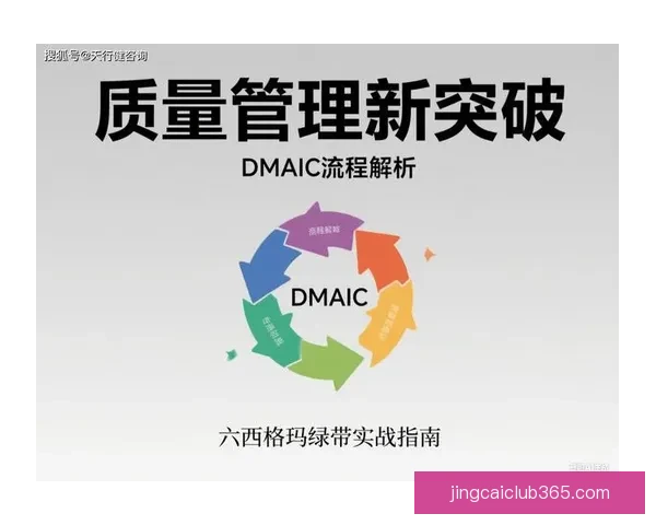 世界杯竞猜赔率网站深度解析与实战指南助你把握赛场数据投注技巧