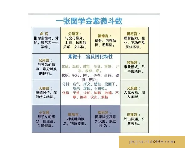 布朗通过命理学与占星术了解队友生肖提升沟通效率探索另类领导力